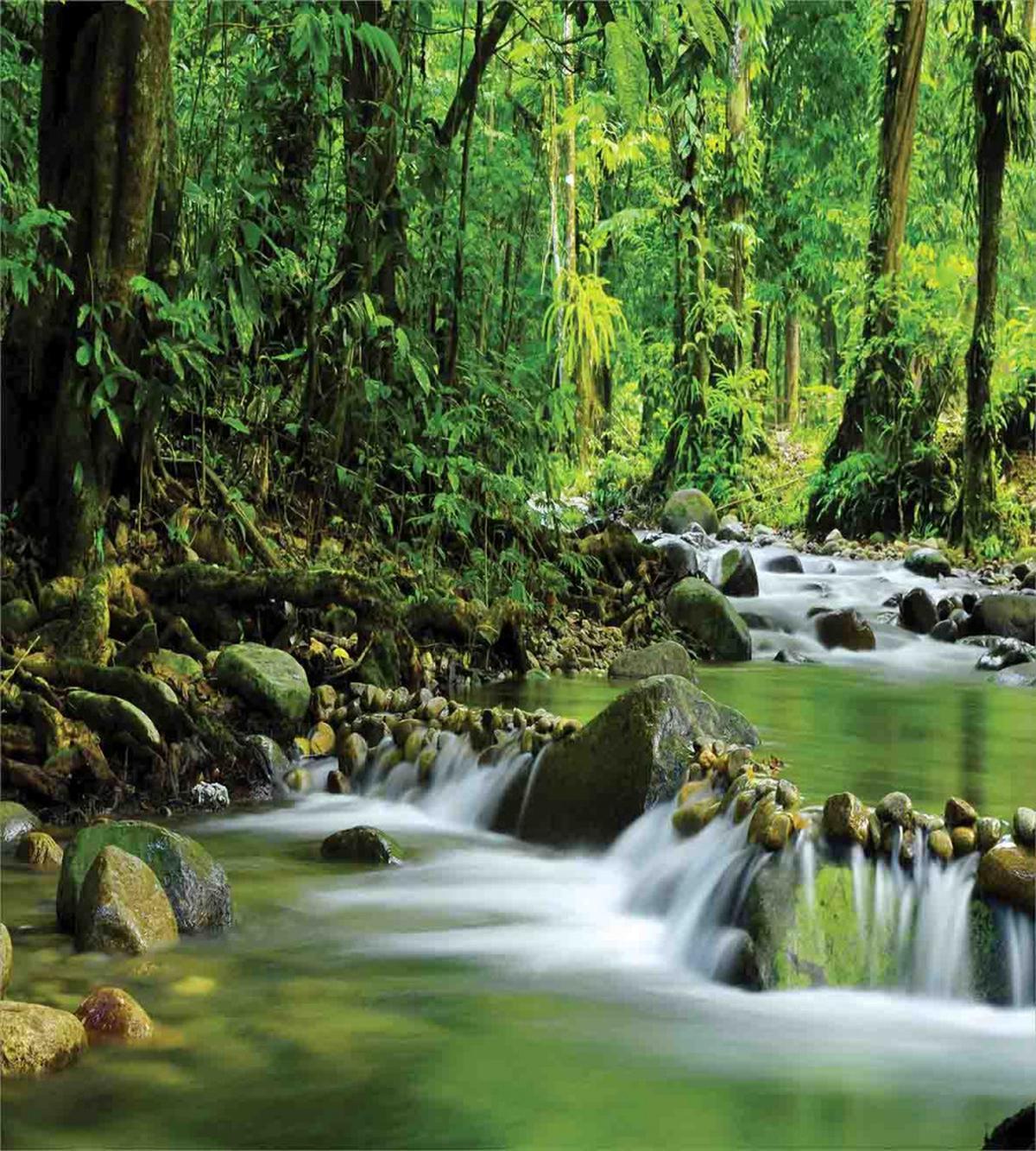 Tropic Mountain Stream — Pattern