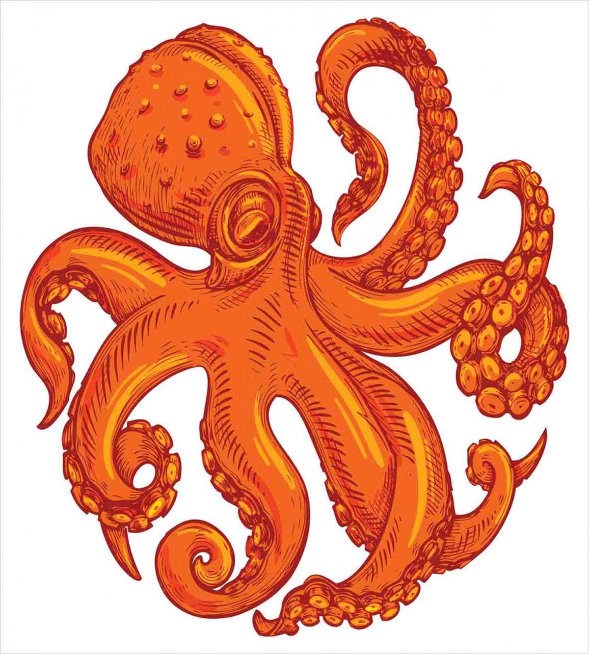 Orange Animal Wildlife — Pattern