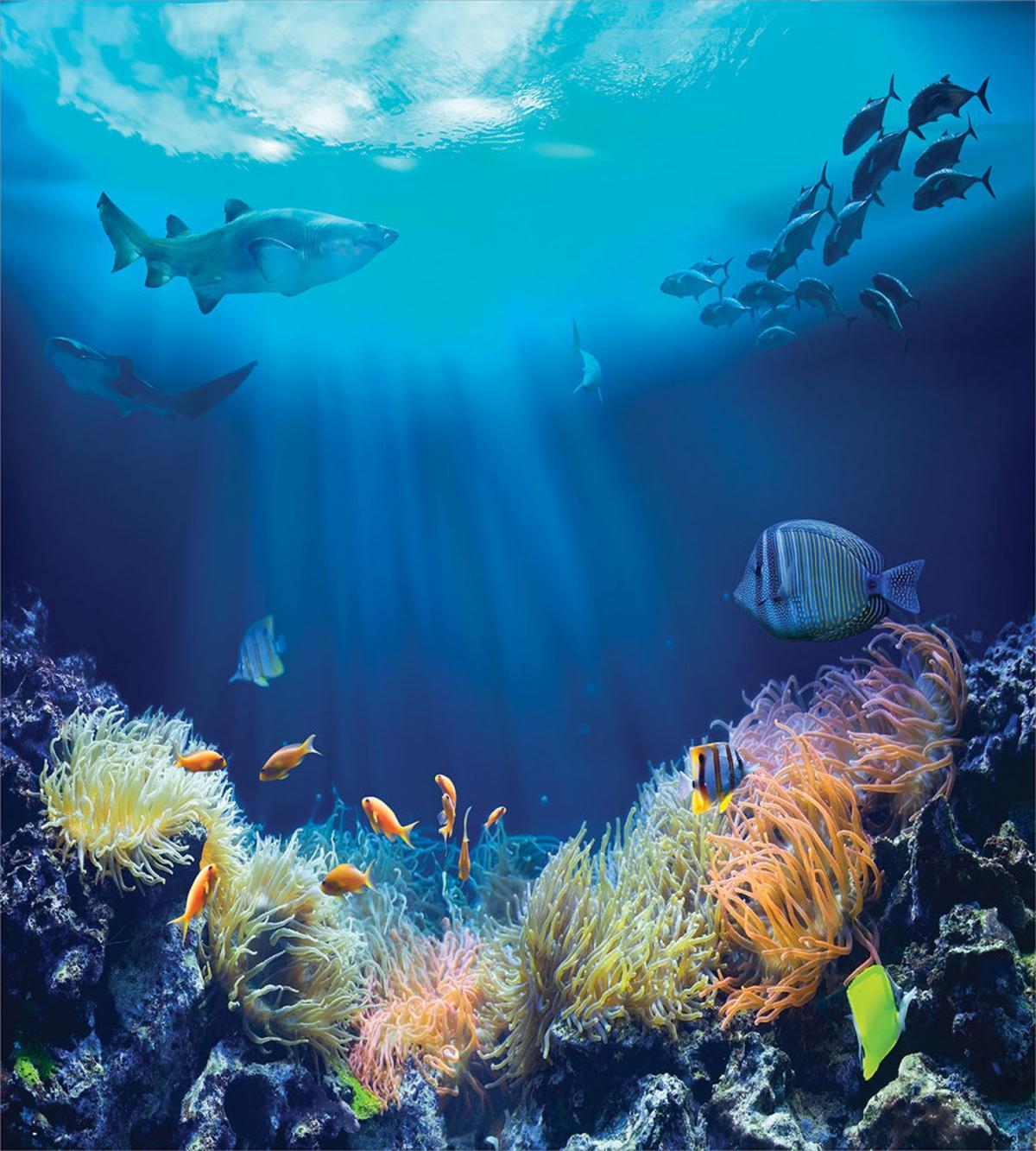 Various Fish Nautical — Pattern