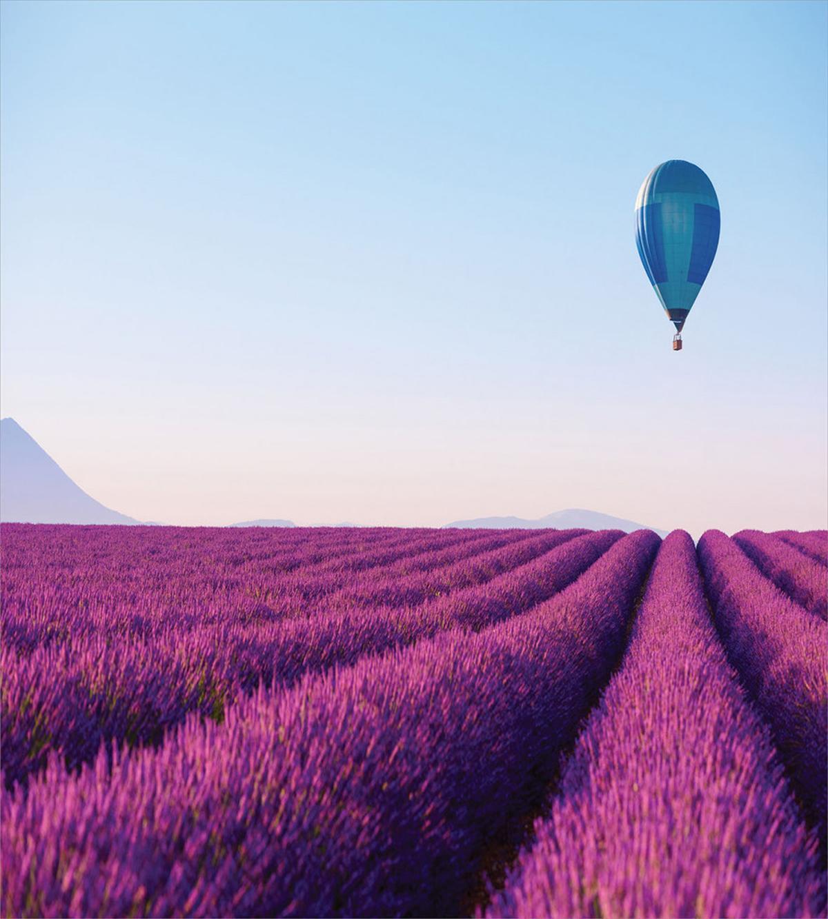 Lavender Field Balloon — Pattern