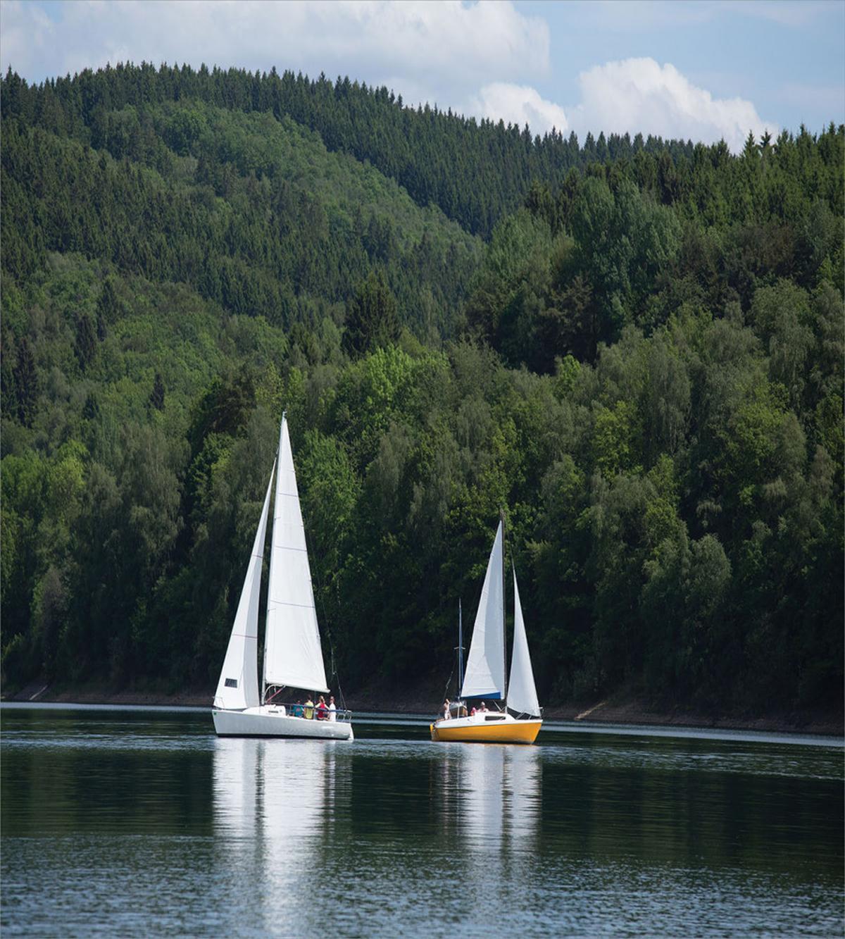 Sailboats on a Lake — Pattern