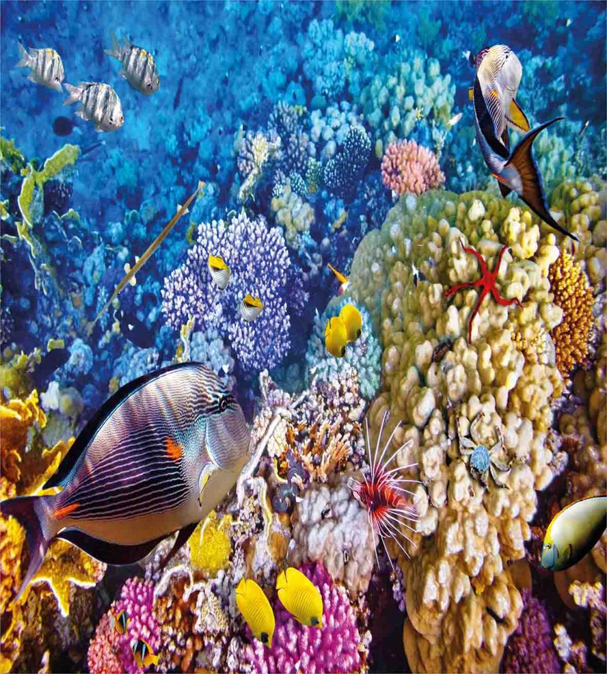 Ocean Beauties — Pattern