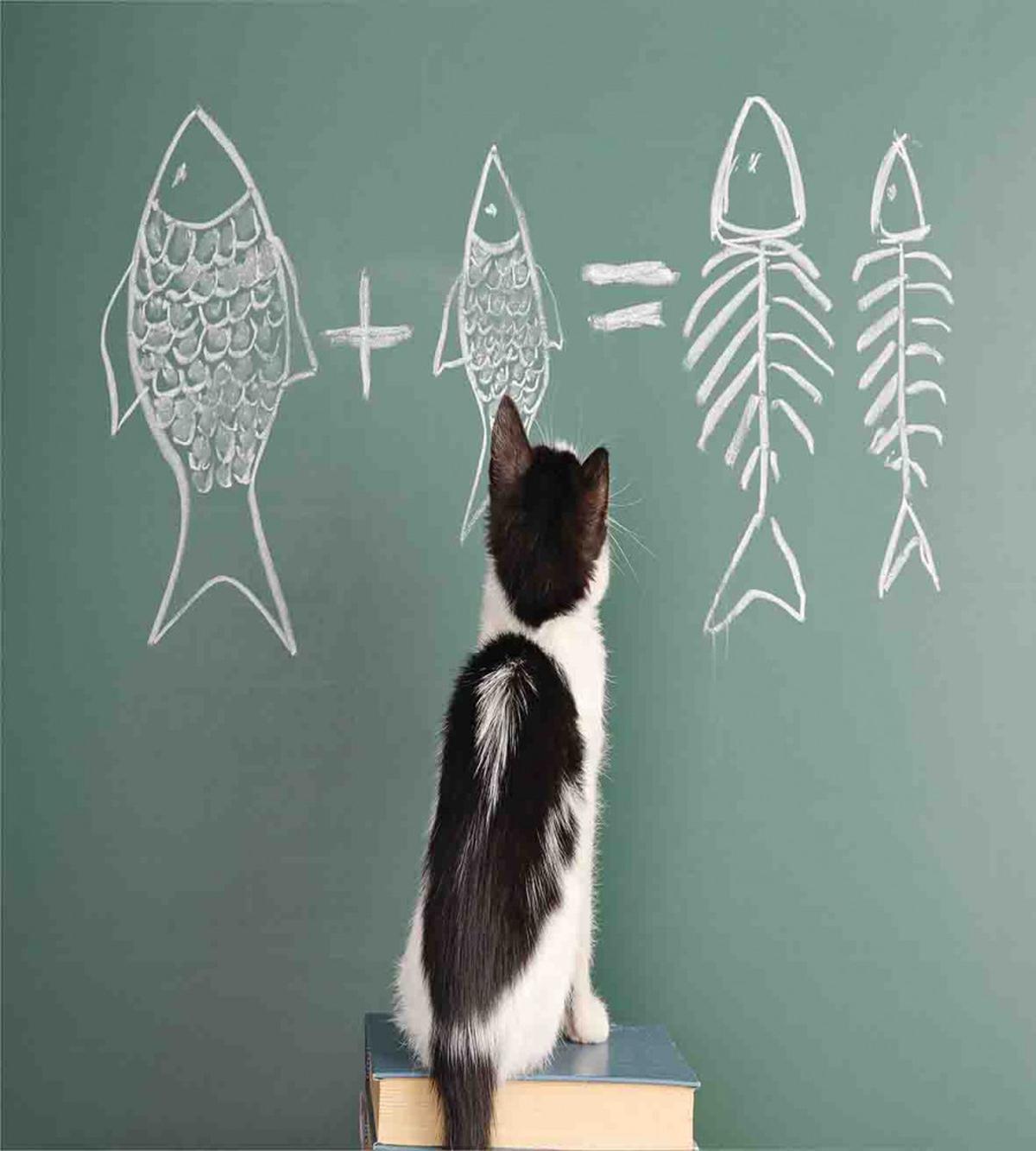 Arithmetic Fish Problem — Pattern