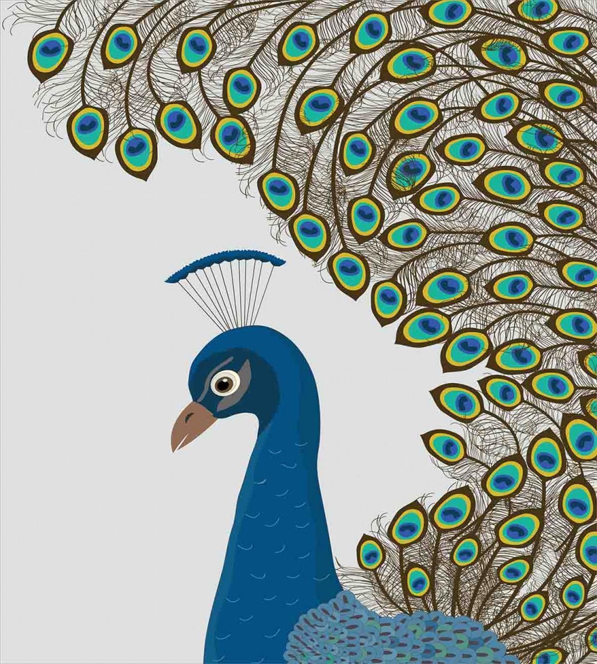 Exotic Feathers Frame — Pattern