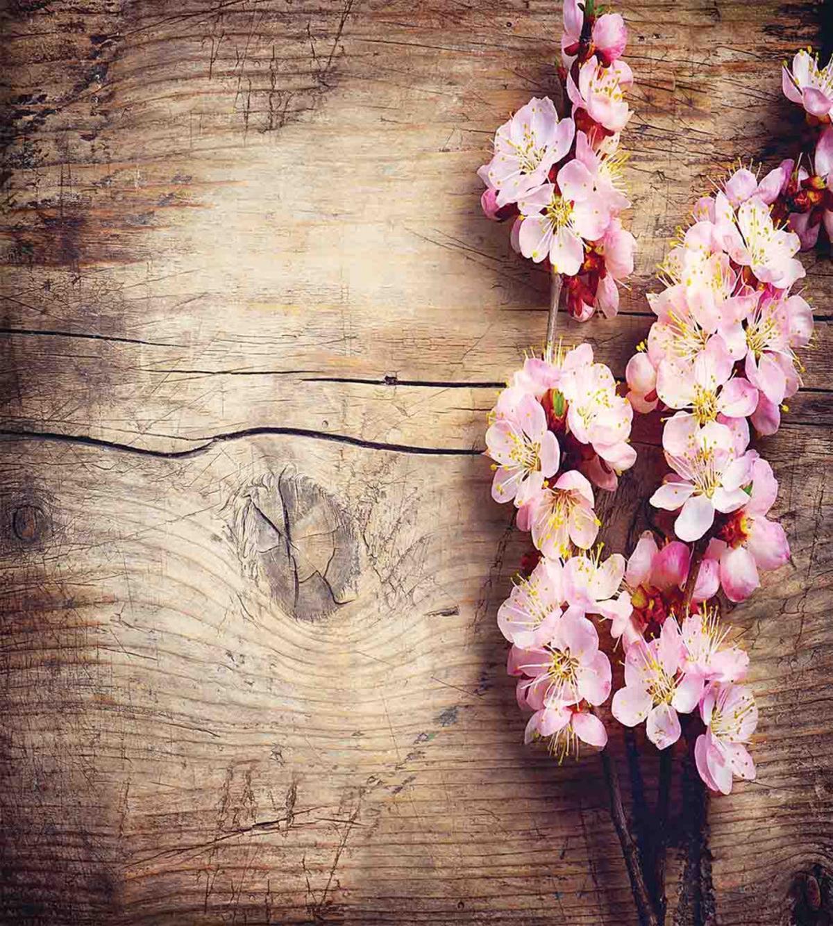Spring Blossom on Wood — Pattern