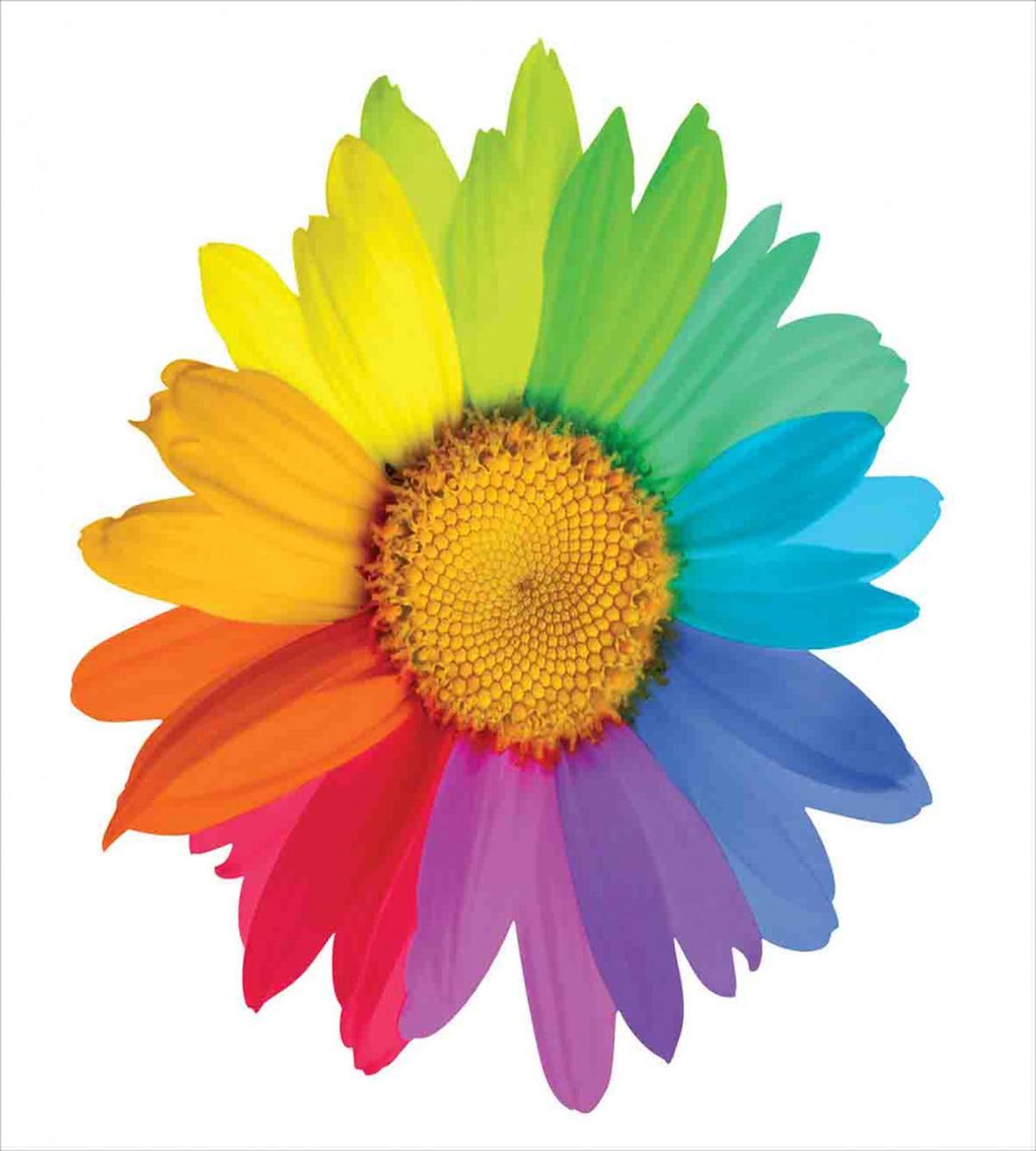 Hippie Daisy Spring — Pattern