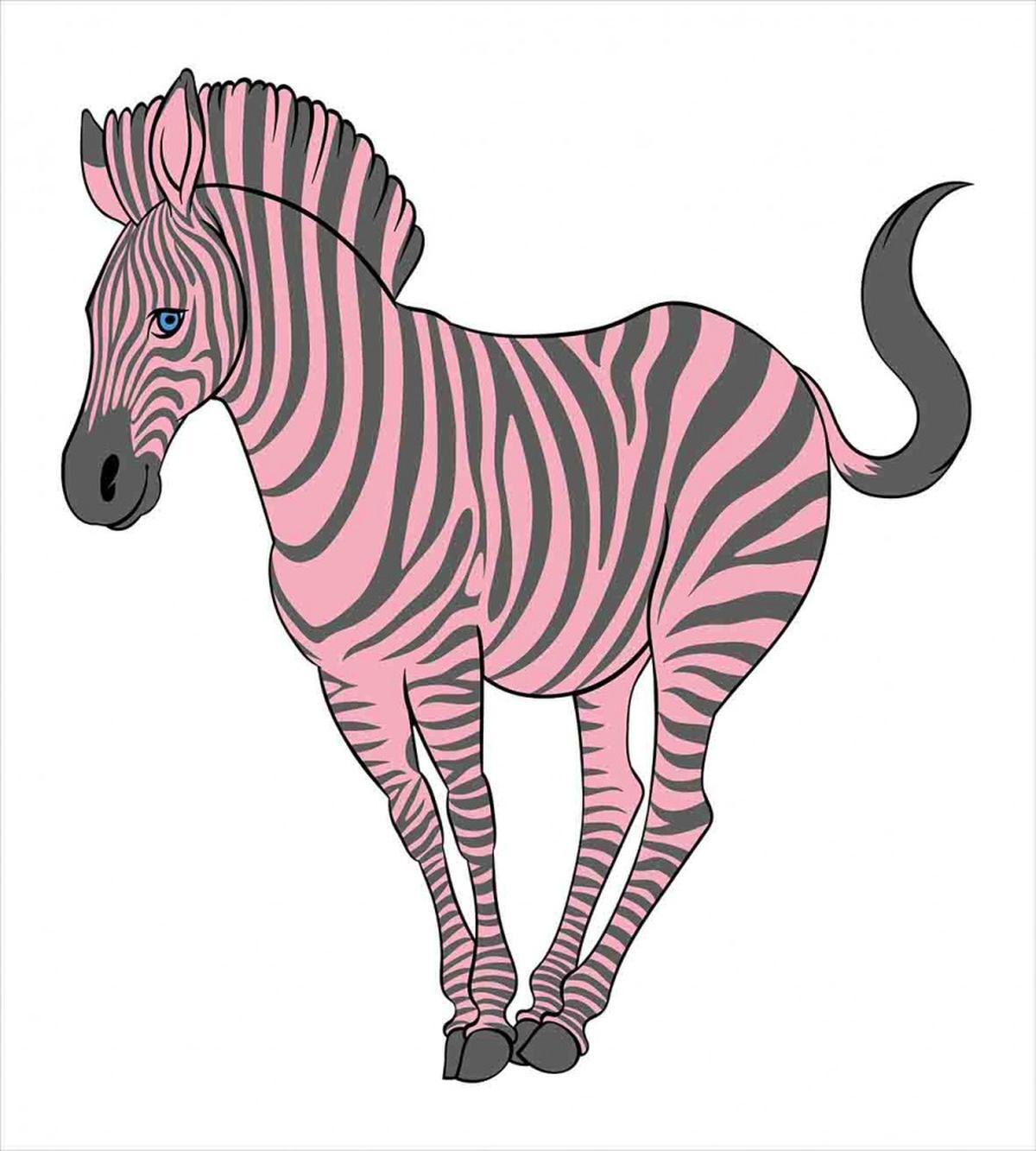 Baby Animal Wildlife — Pattern