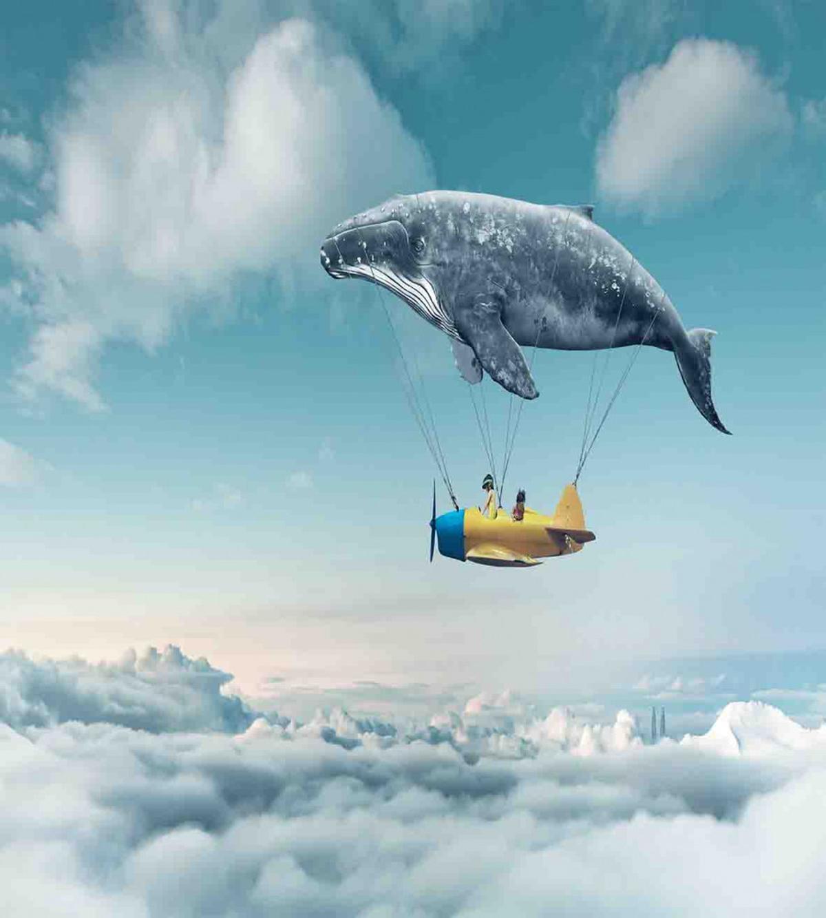 Dreamy View Whale Clouds — Pattern