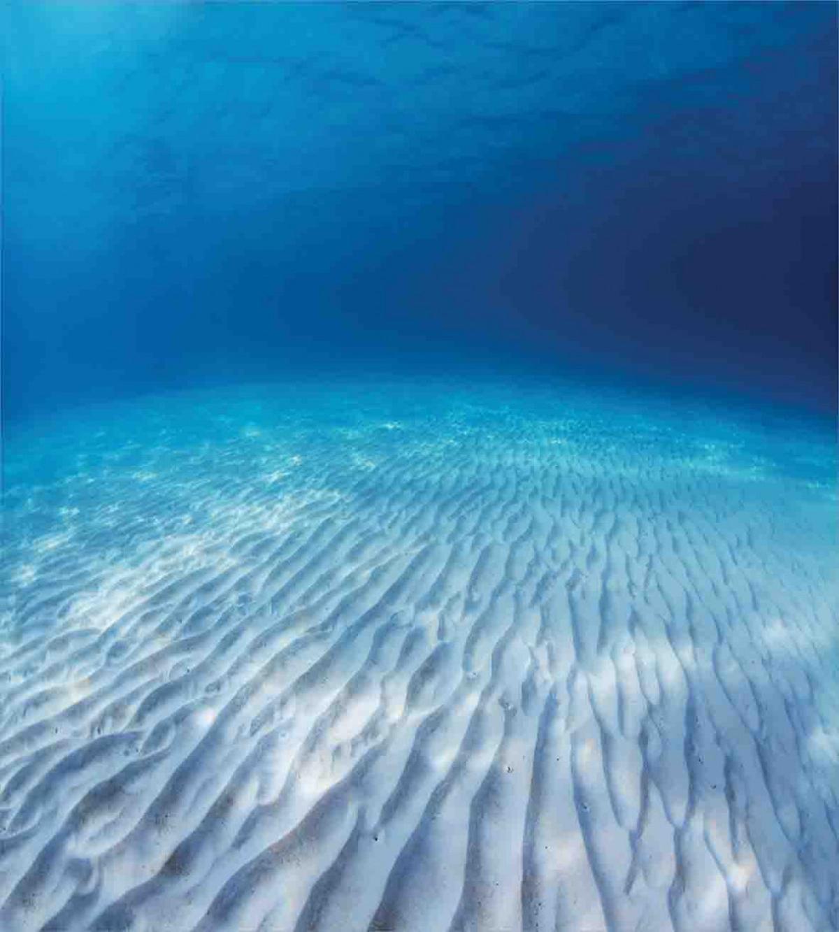 Clear Water and Waves — Pattern