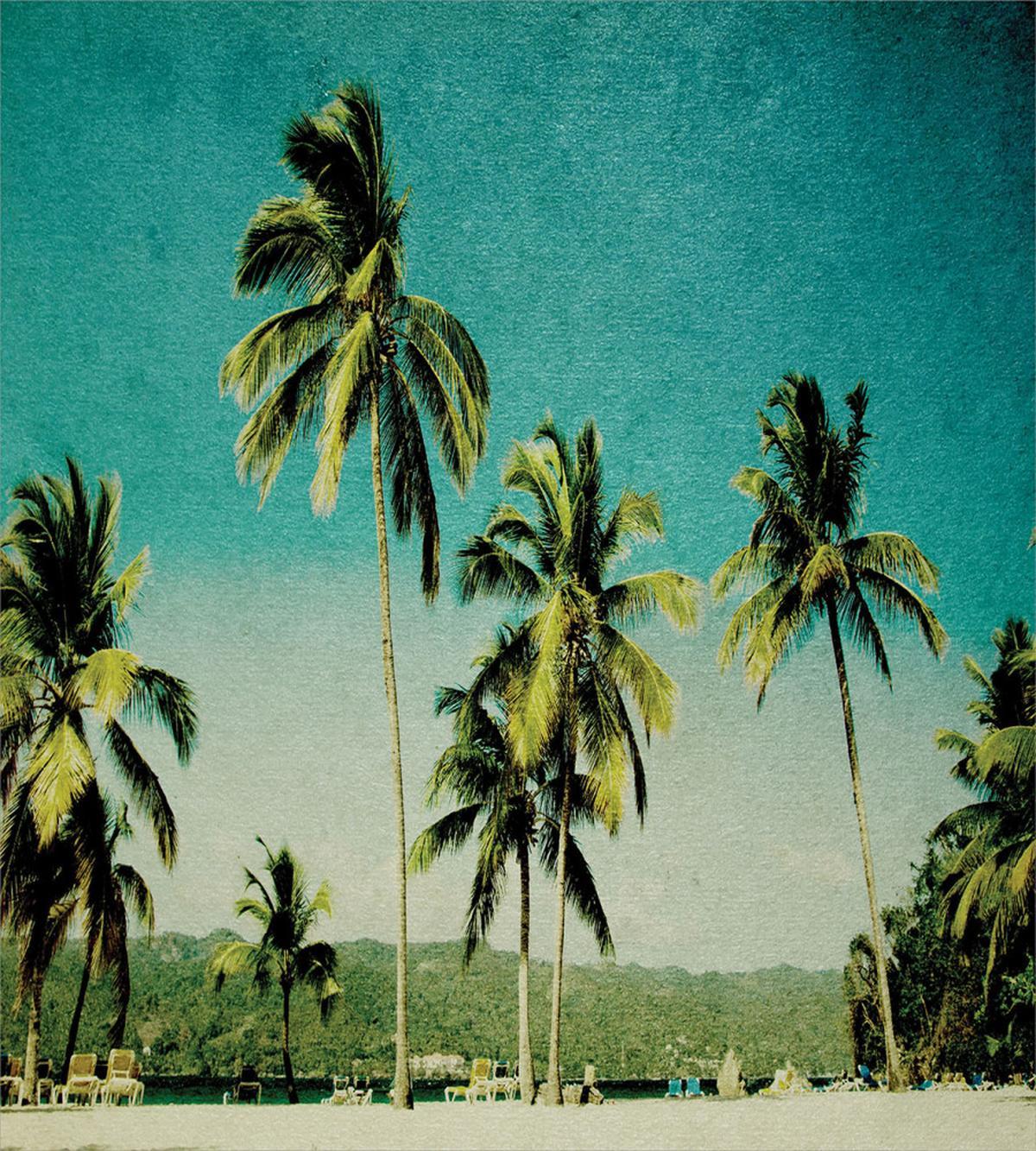 Retro Summer and Tall Trees — Pattern