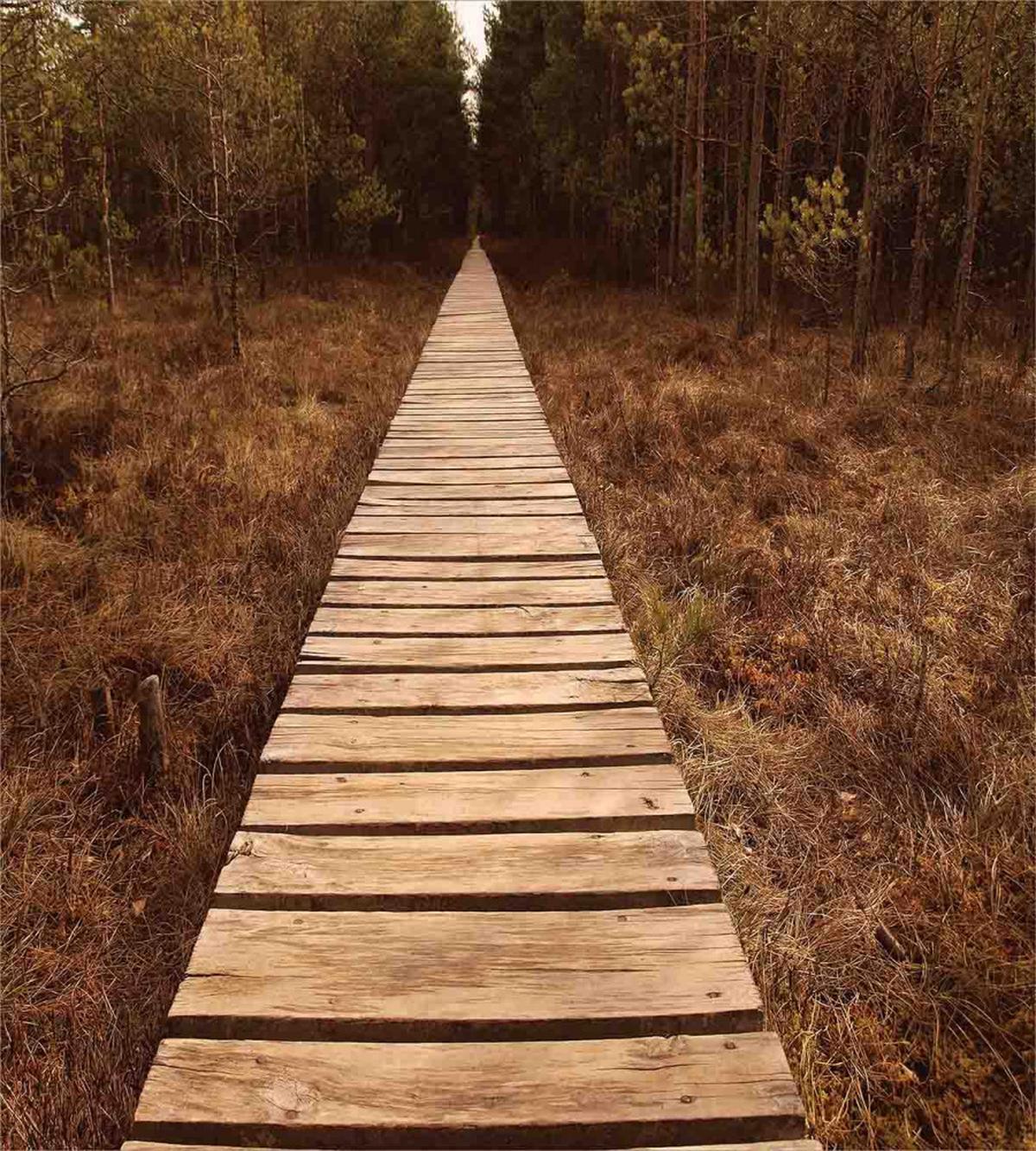 Wooden Path Adventure — Pattern