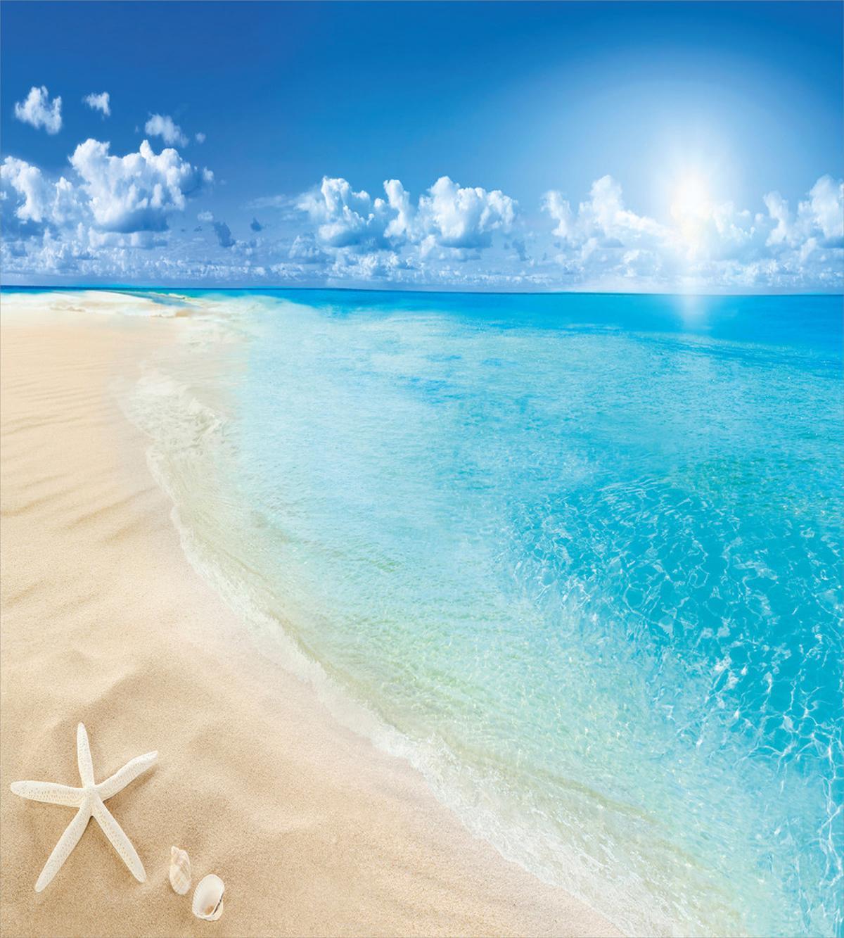 Sunny Seashore and Shells — Pattern