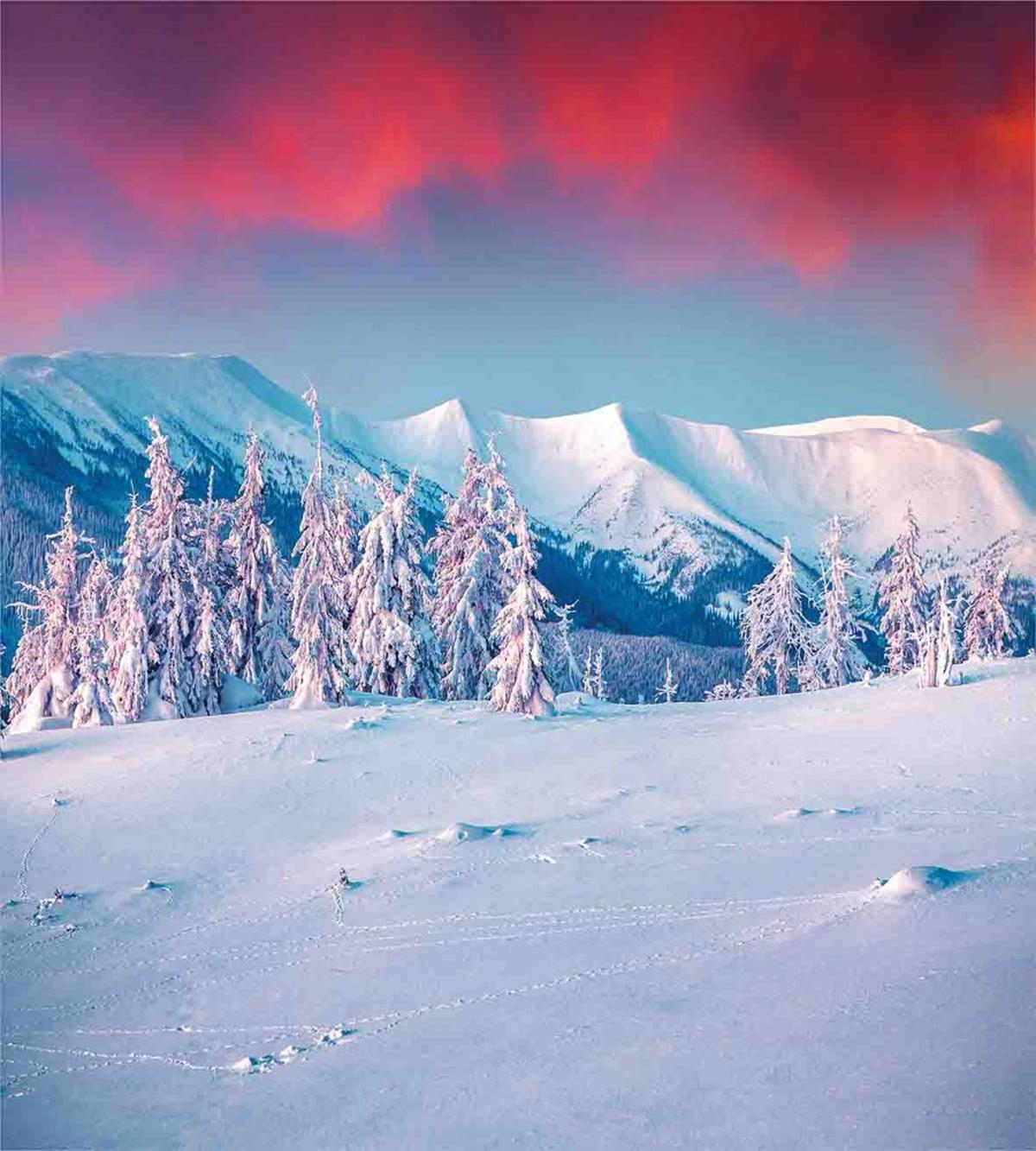 Sunset Snowy Winter — Pattern