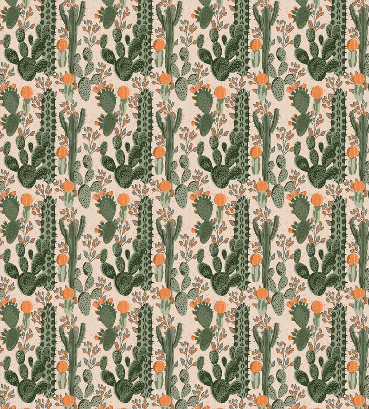 Desert Botany Cacti Flora — Pattern