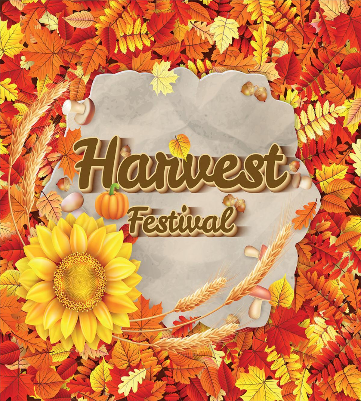 Festival Autumn Leaves — Pattern