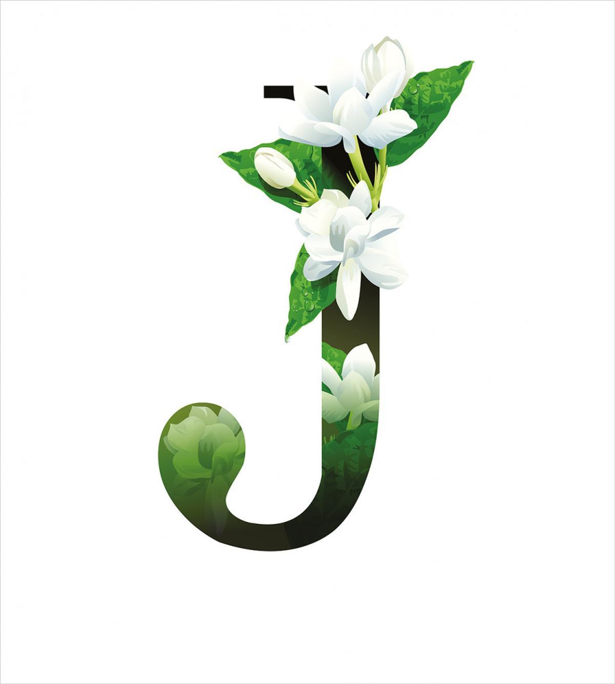 Abstract Jasmine and J — Pattern