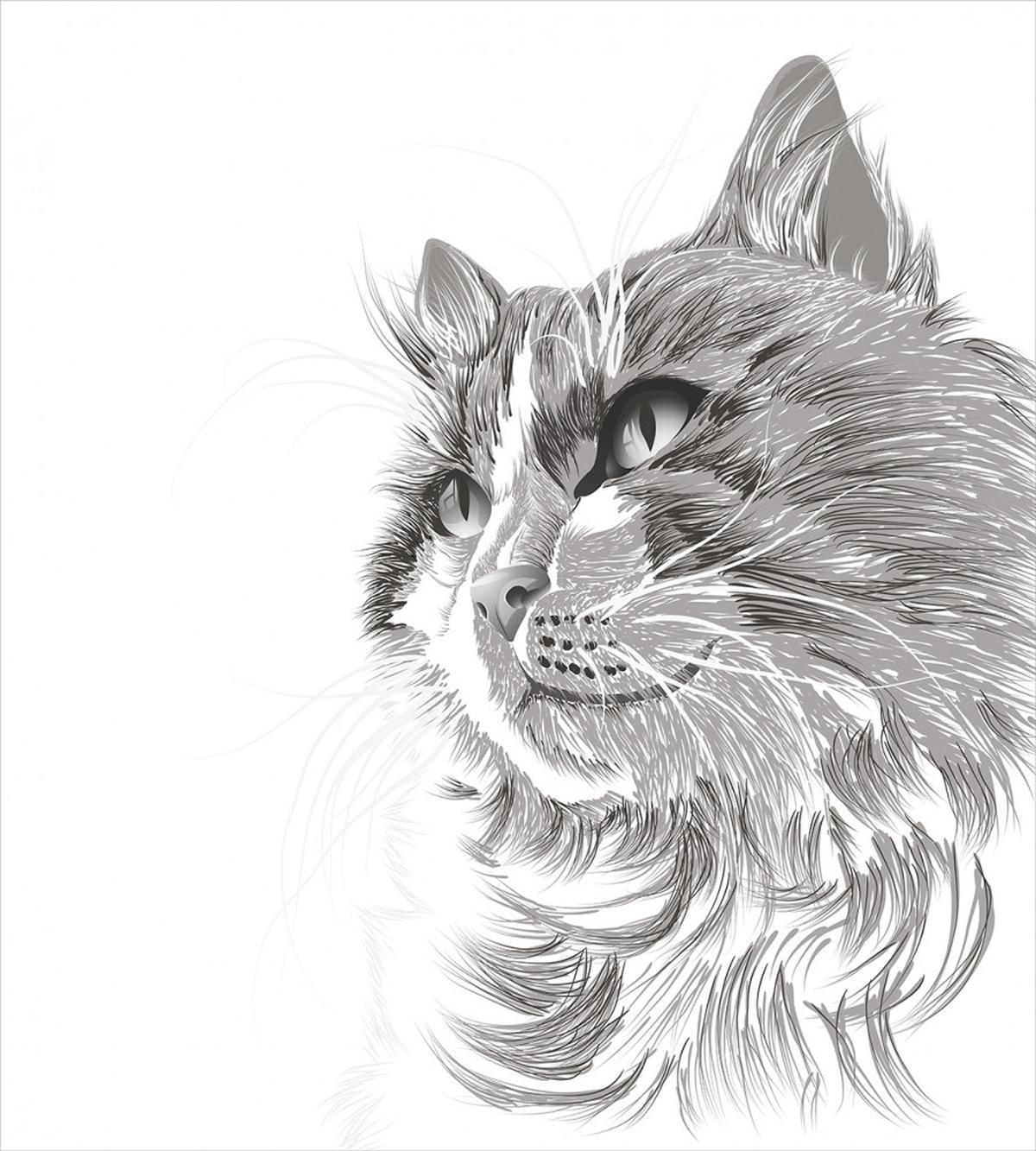 Cat Portrait Kitten — Pattern