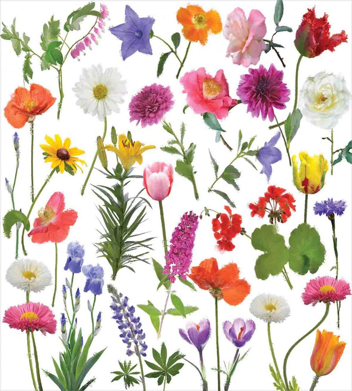 Colored Roses Tulips — Pattern