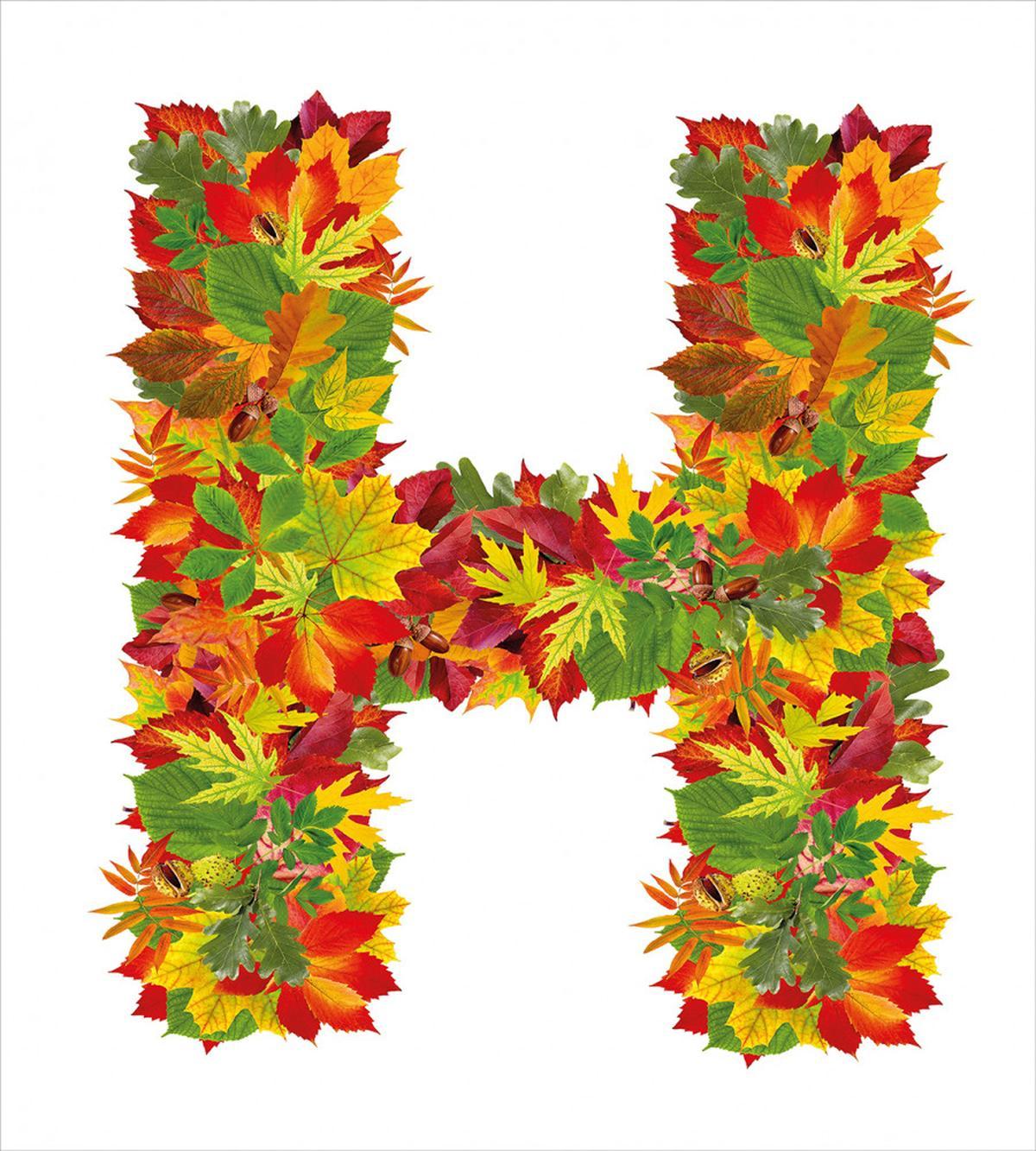Vibrant Leaf Bouquet — Pattern
