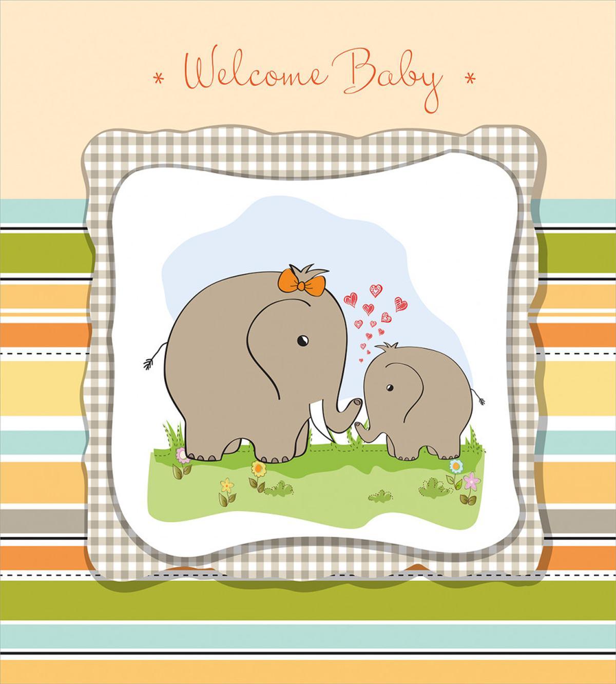 Mammal Family — Pattern