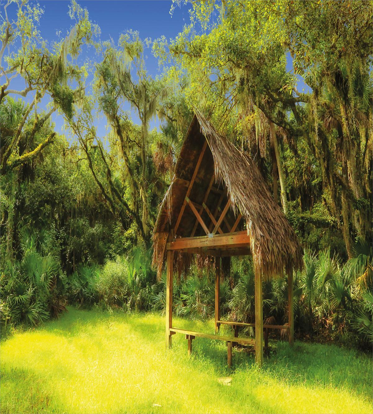 Tropic Hut Woods — Pattern