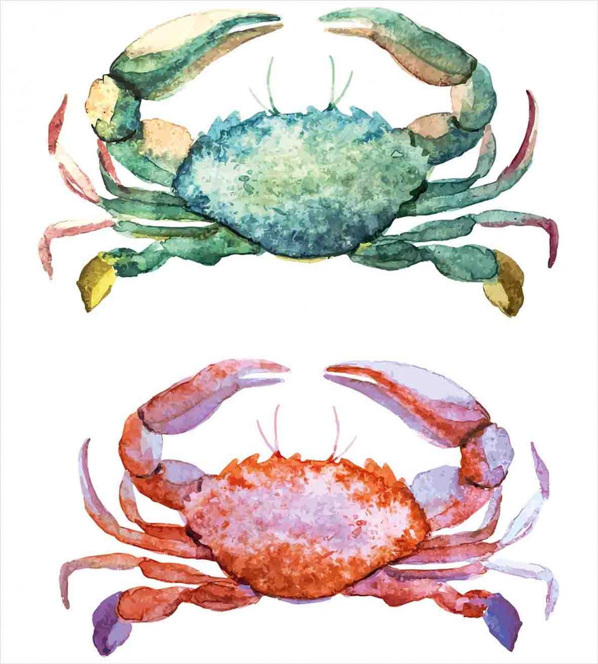 Sea Animals Theme — Pattern