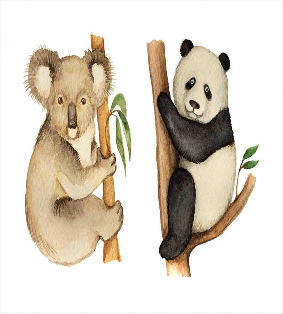 Koala Panda Watercolor — Pattern