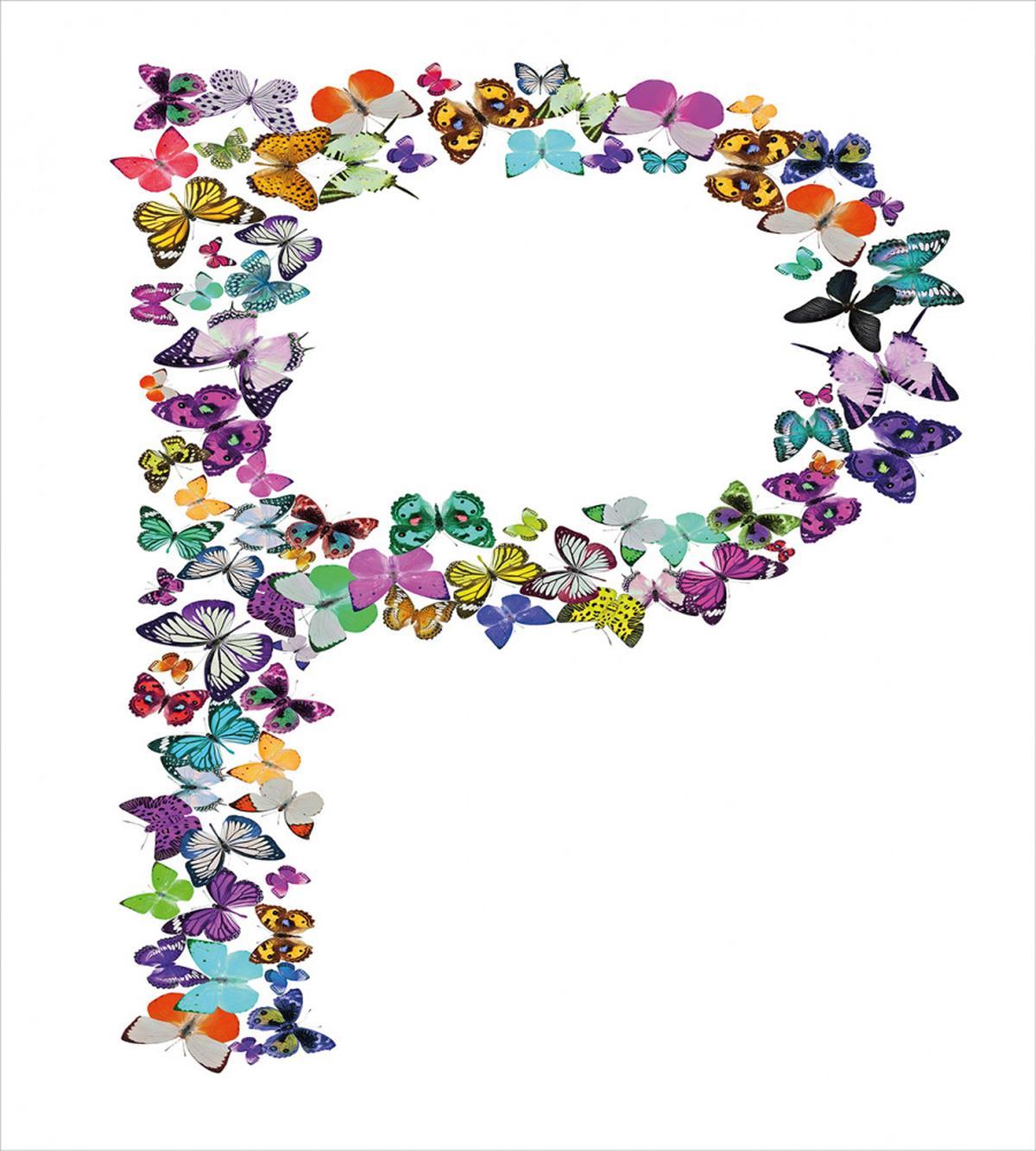 Animal World Alphabet — Pattern