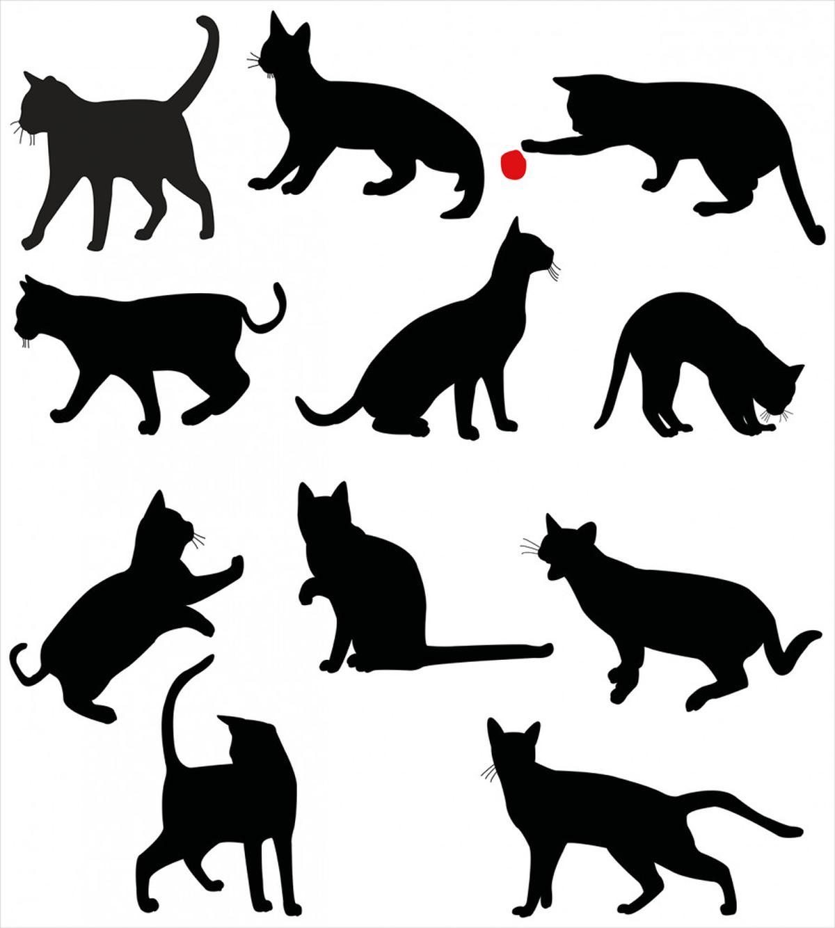 Red Ball Animal Pet Kittens — Pattern
