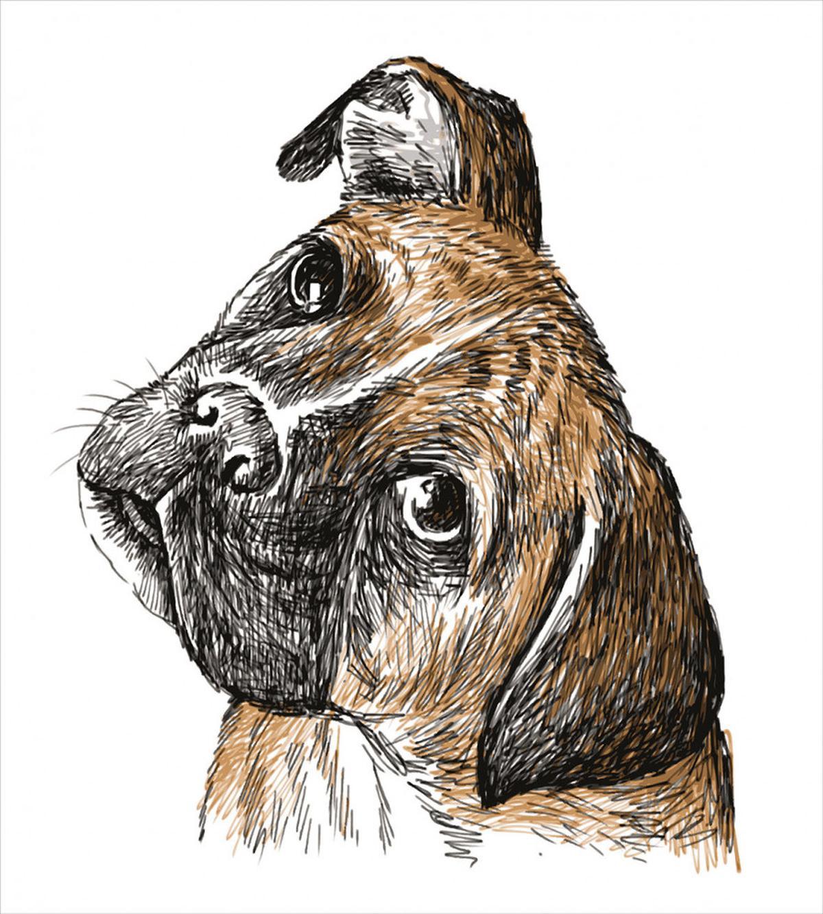 Sketchy Furry Puppy Pet — Pattern