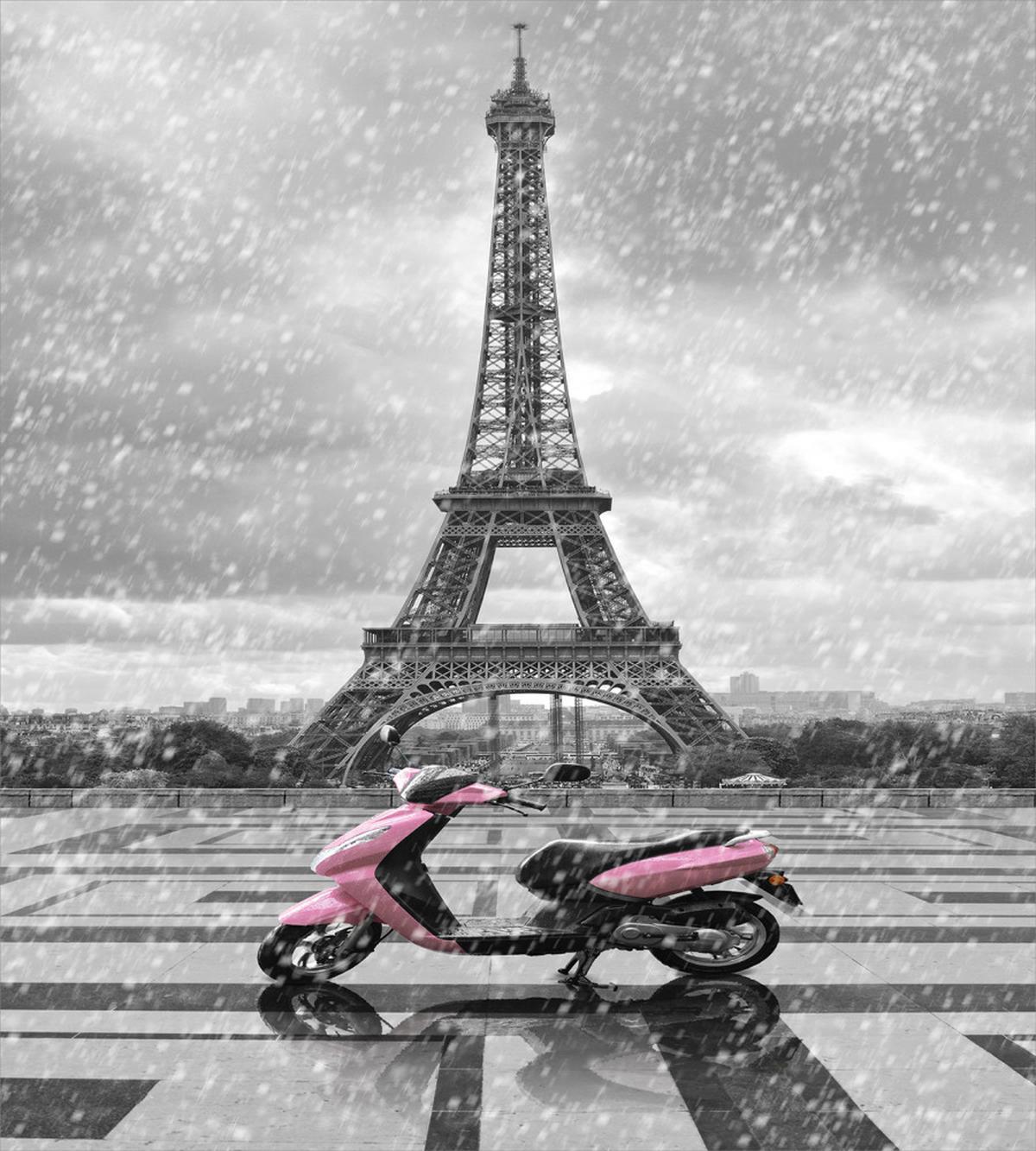Paris Scene Moped — Pattern