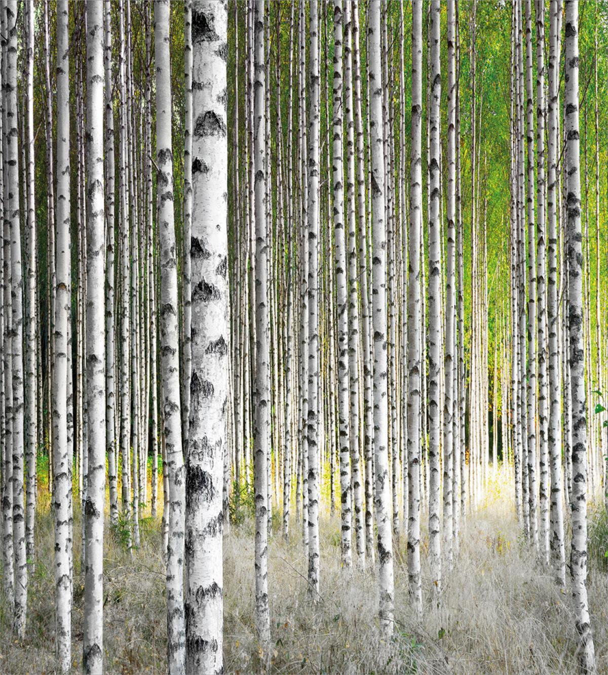 Late Summer Foliage — Pattern