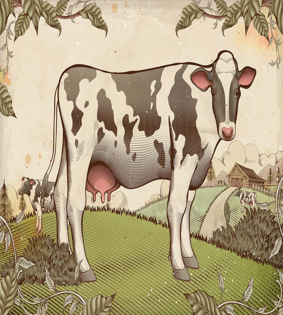 Dairy Cattle Farmland — Pattern