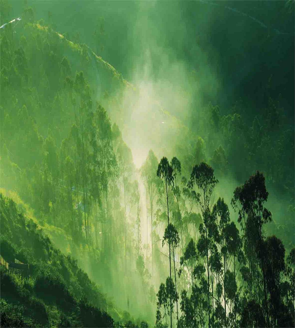 Nevada Foggy Forest — Pattern