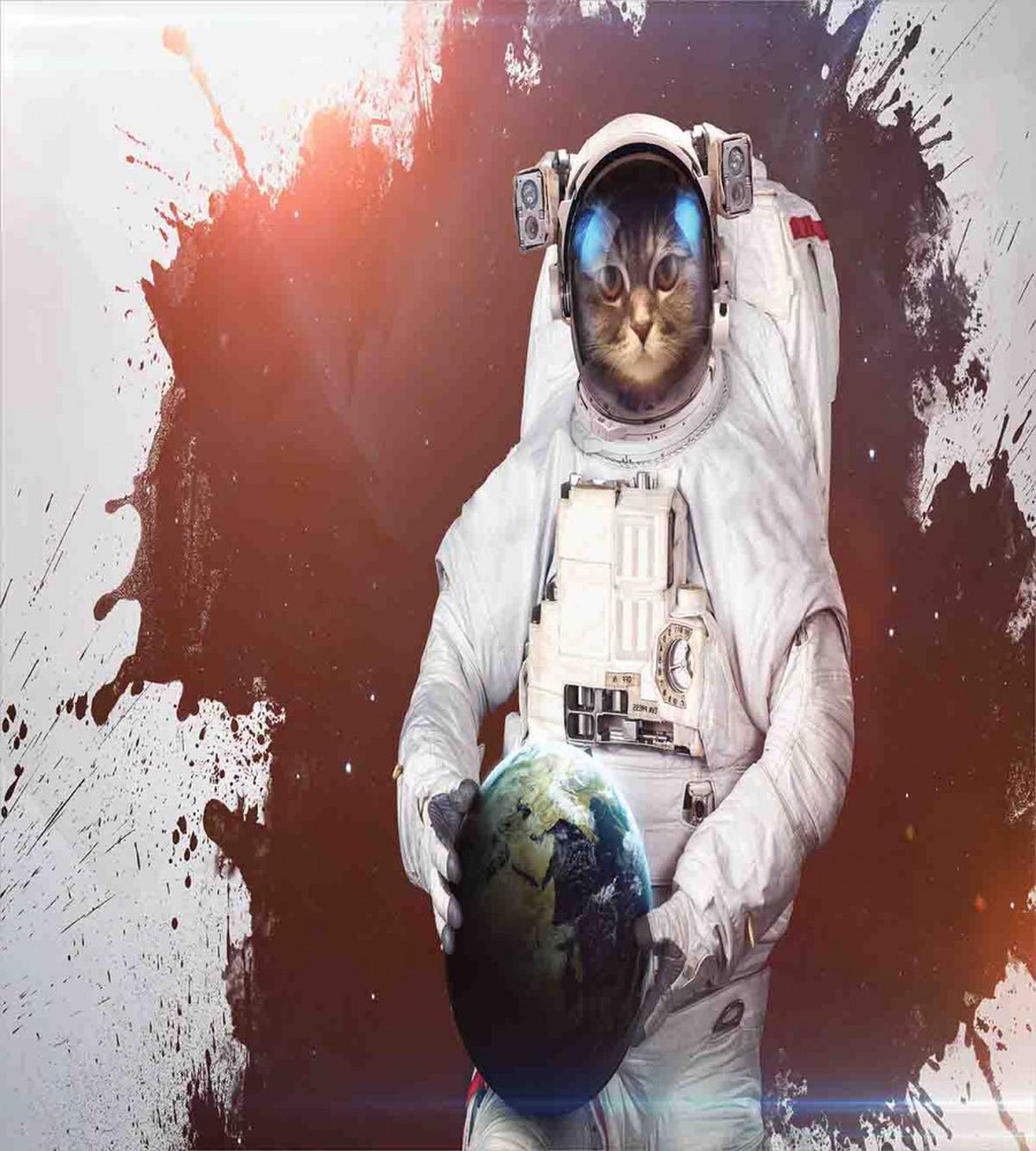 Astronaut Funny Design — Pattern