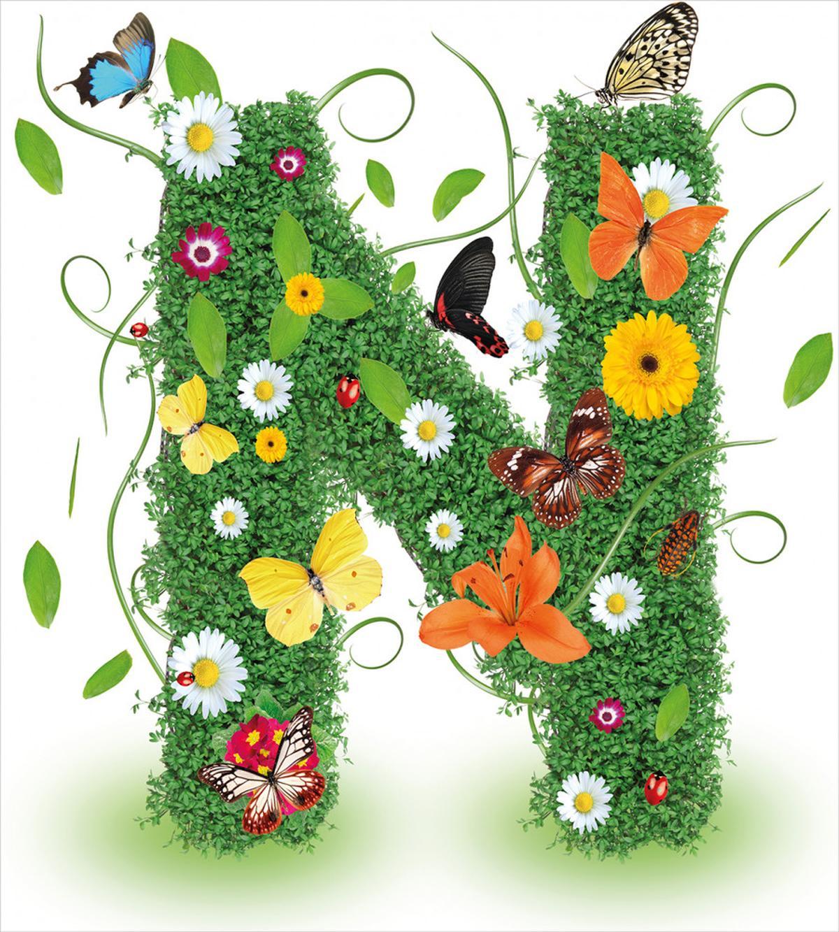 Daisy Butterfly Garden — Pattern