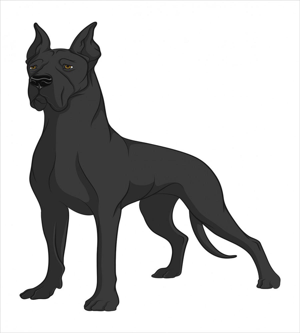 Purebred Dog on Plain — Pattern