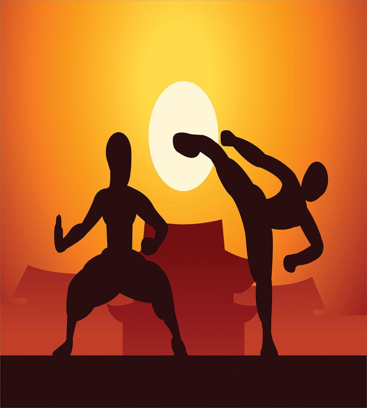Chinese Boxing Sports Human — Pattern