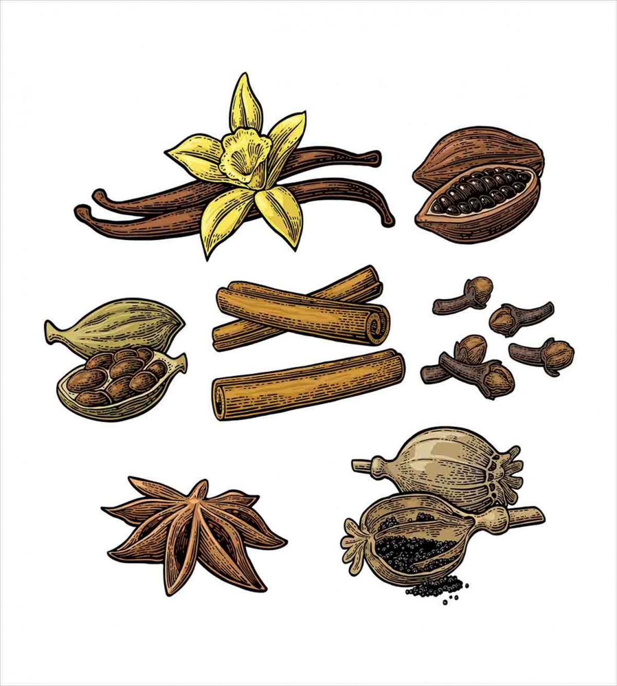 Cinnamon Anise Star Cardamom — Pattern