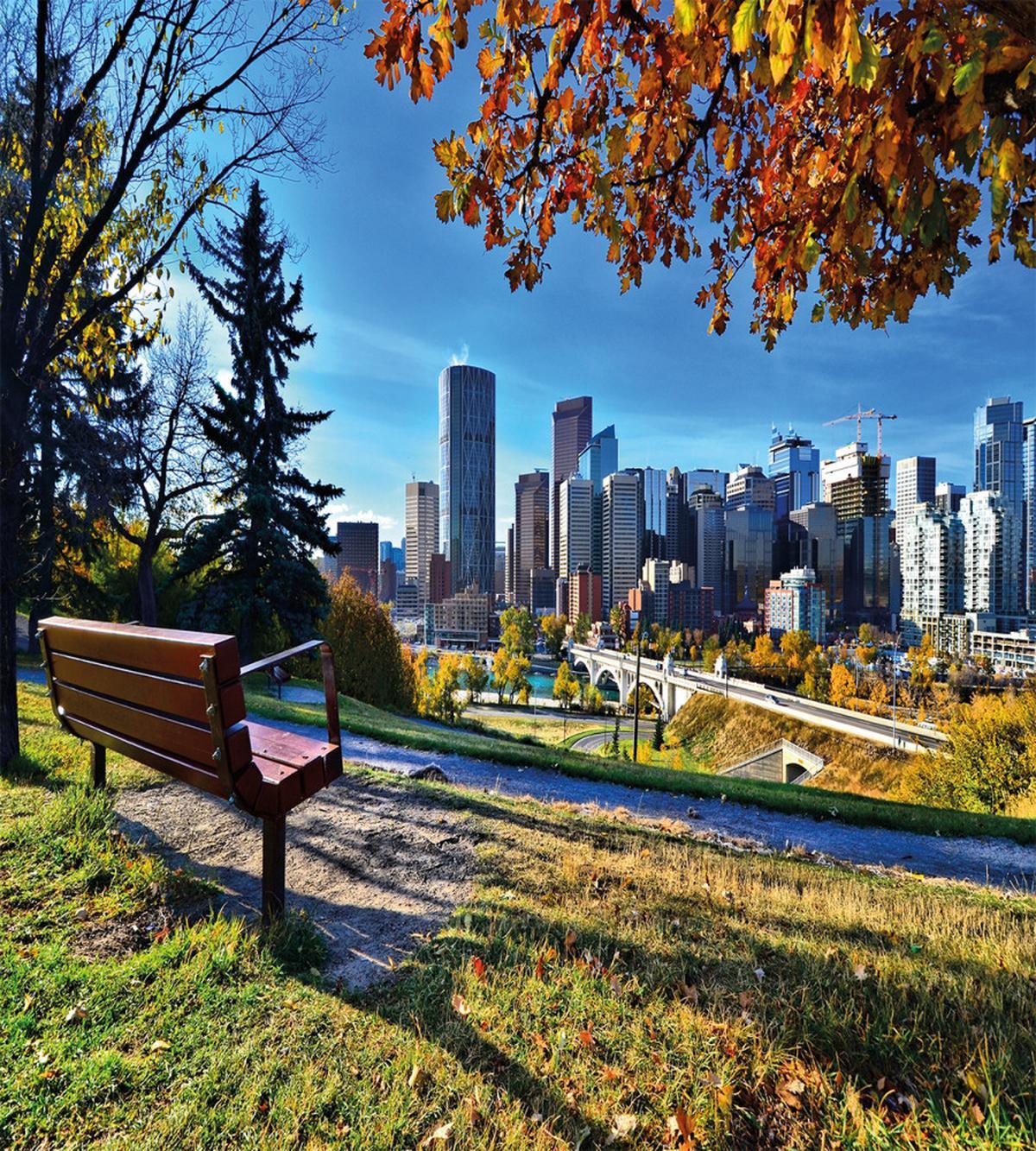 Autumn Park in Calgary — Pattern
