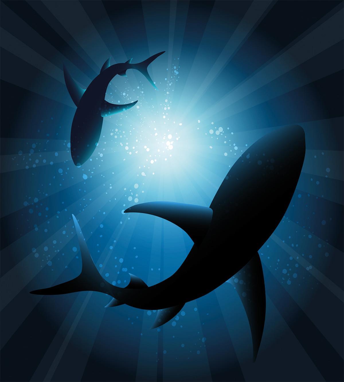 Fish Silhouettes Swimming — Pattern