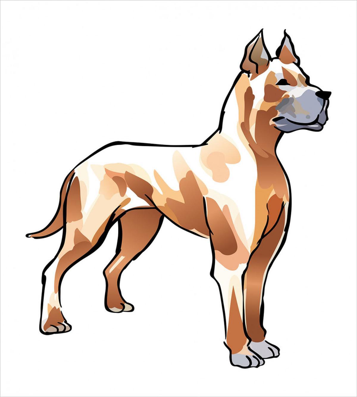 German Mastiff Dog — Pattern