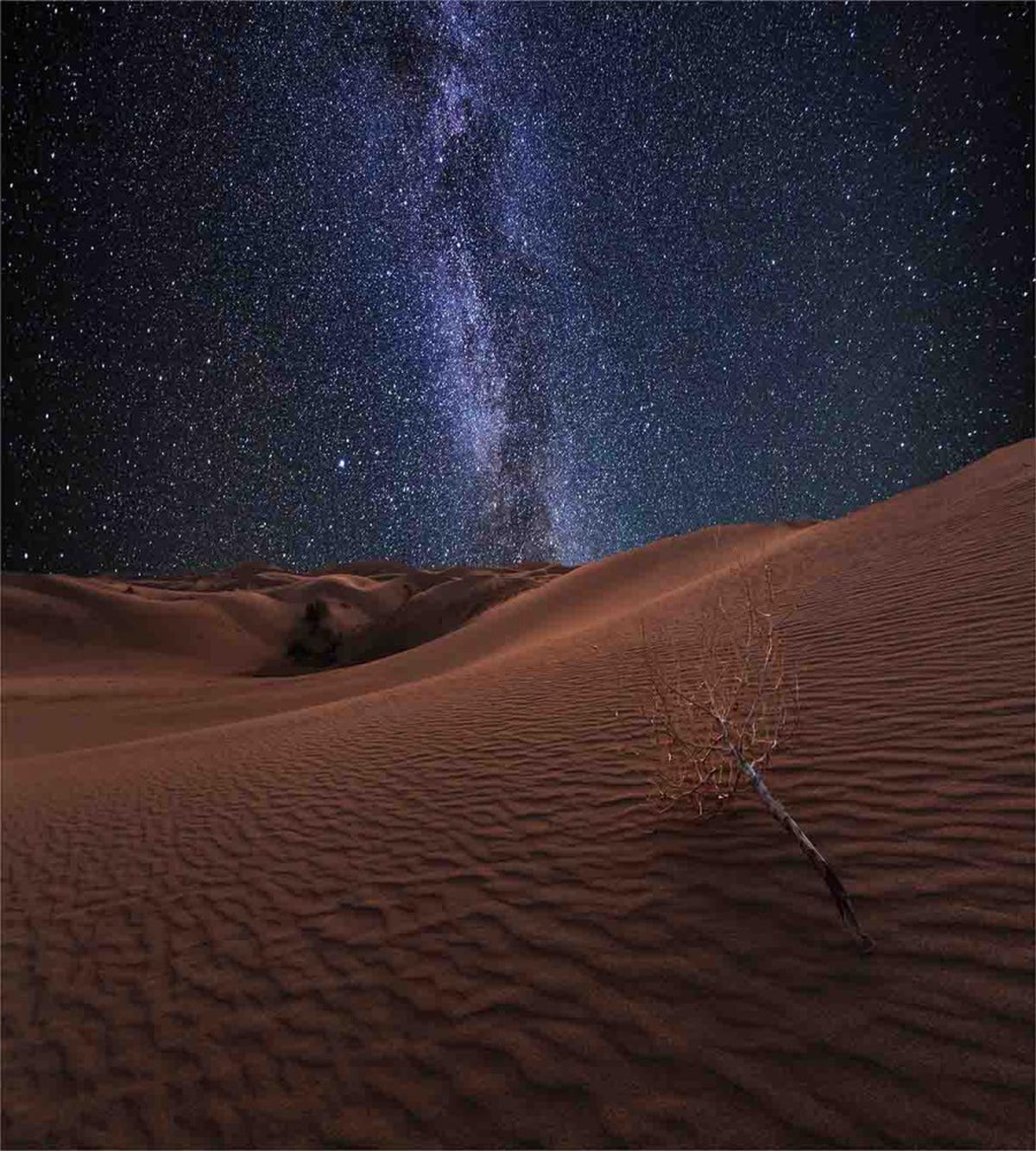 Desert Lunar Life on Mars — Pattern