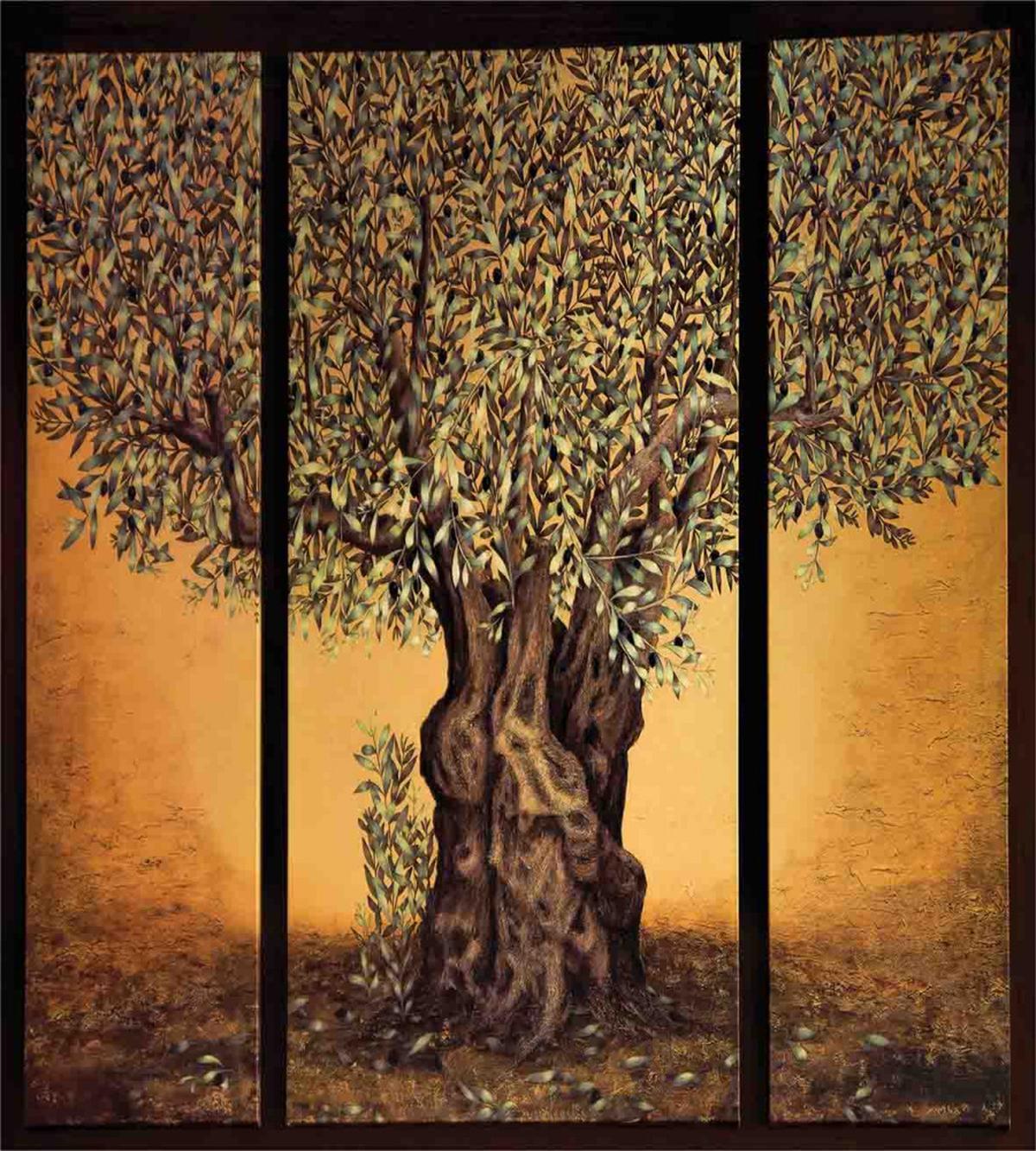 Greece Olive Trees — Pattern