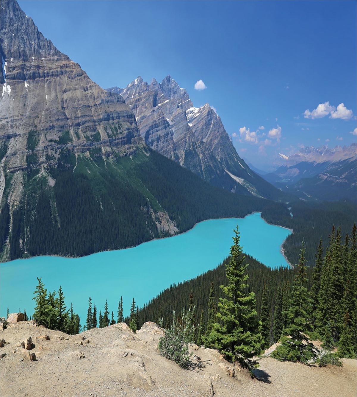 Aerial Vista Peyto Lake — Pattern