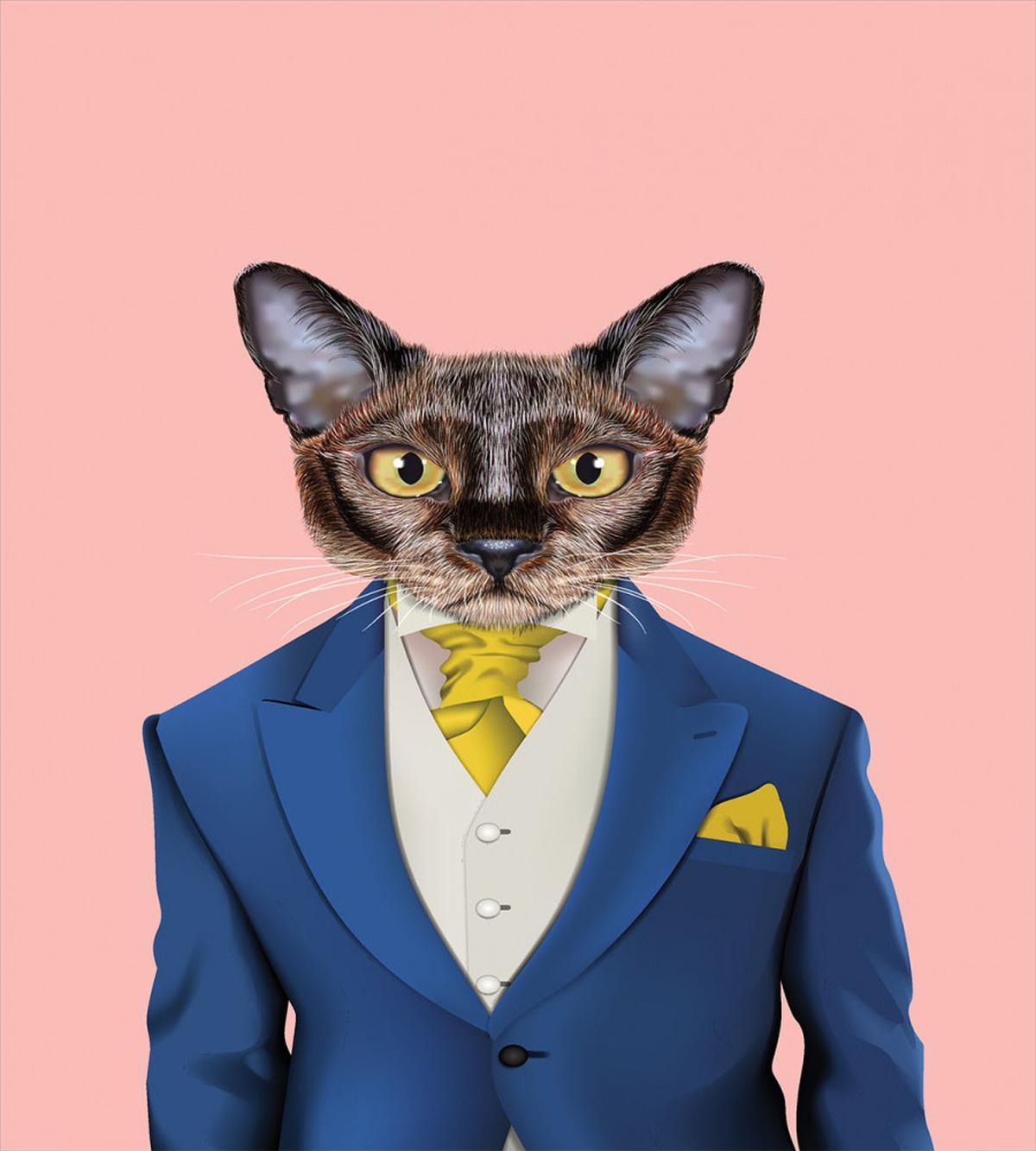 Whimsical Portrait of a Cat — Pattern