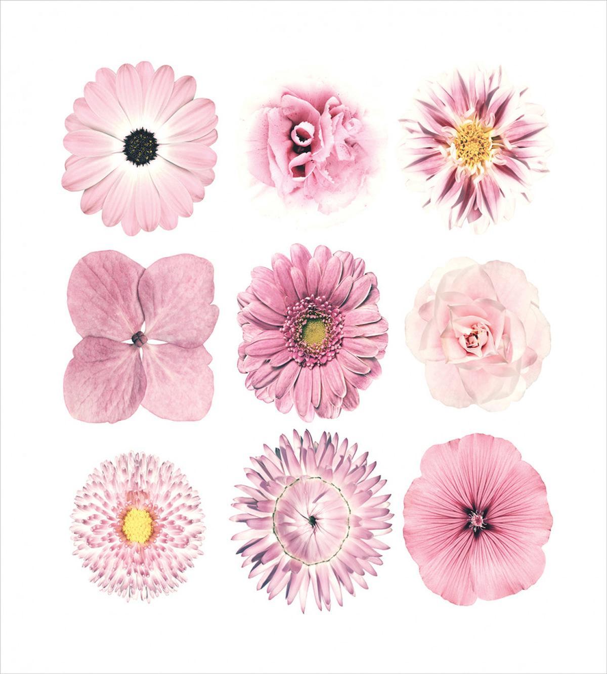 Botanical Set — Pattern