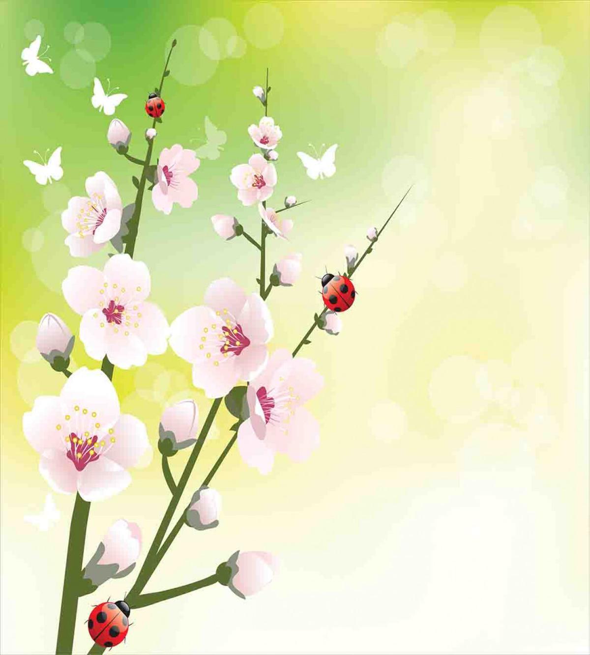 Blossoms Ladybugs Spring — Pattern