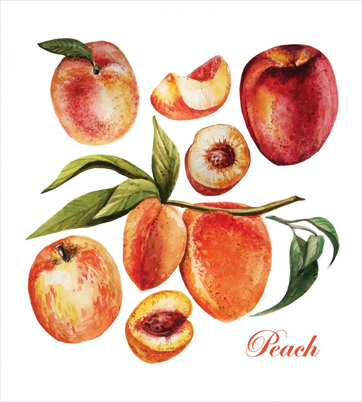 Delicious Nectarines — Pattern