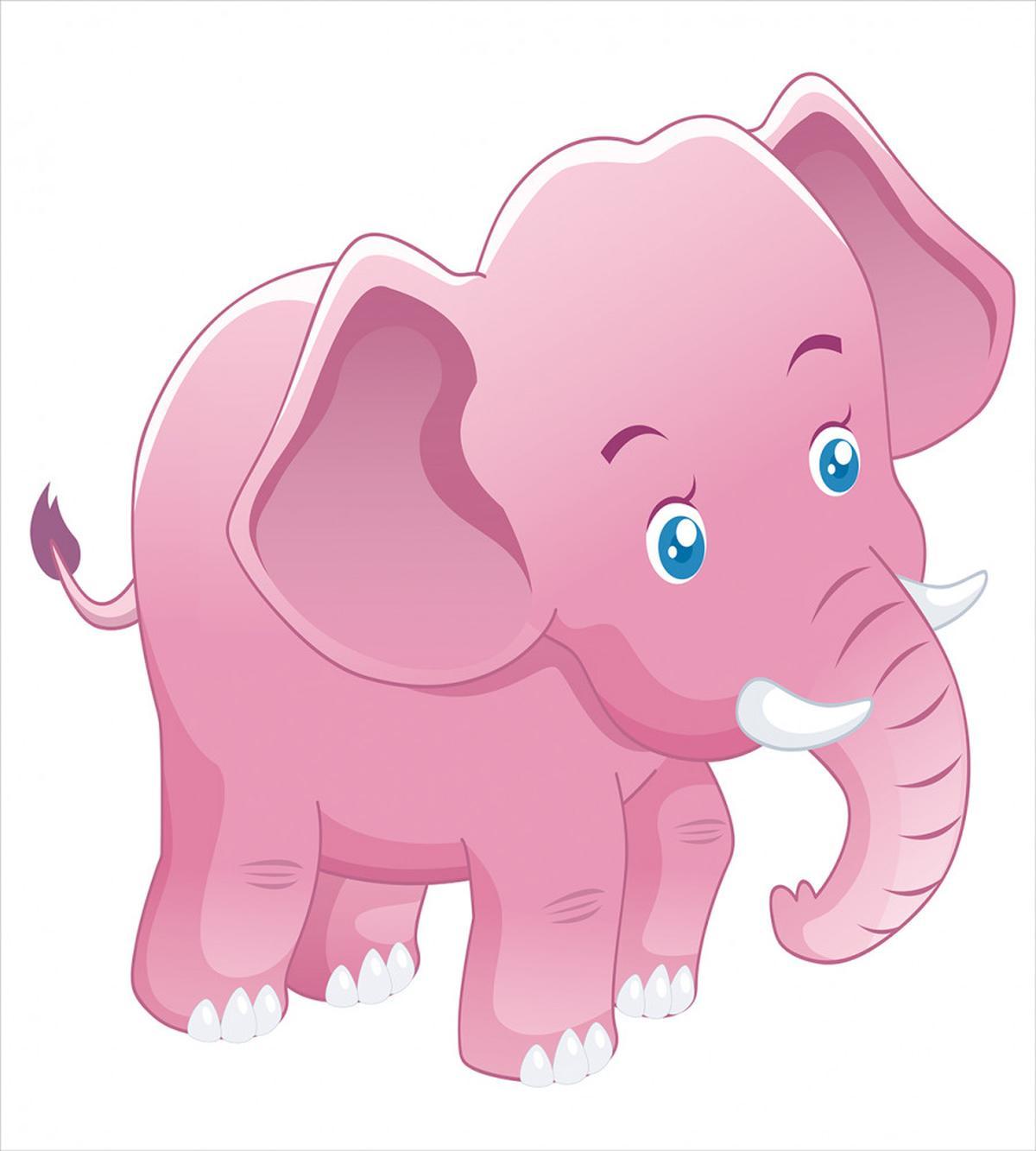 Toddler Tusk — Pattern
